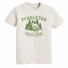 Pendleton Campsite Graphic Tee Sand / Green -Hikerdelic Sales Store Pendleton Campsite Graphic Tee Sand Green 25352 1